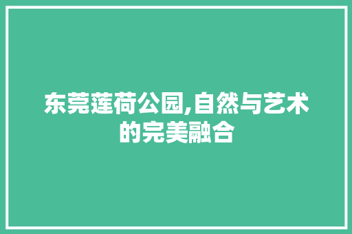 东莞莲荷公园,自然与艺术的完美融合  第1张