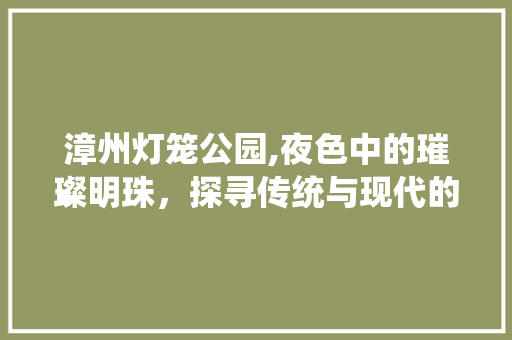 漳州灯笼公园,夜色中的璀璨明珠，探寻传统与现代的交融之美