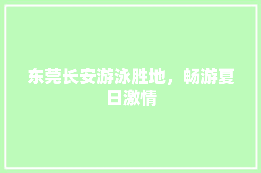 东莞长安游泳胜地，畅游夏日激情