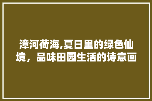 漳河荷海,夏日里的绿色仙境，品味田园生活的诗意画卷