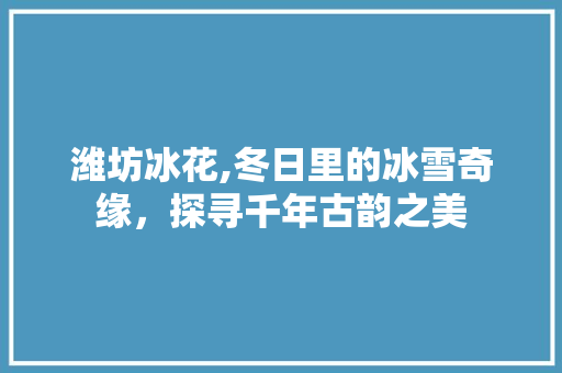 潍坊冰花,冬日里的冰雪奇缘，探寻千年古韵之美