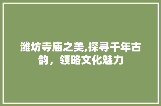 潍坊寺庙之美,探寻千年古韵，领略文化魅力