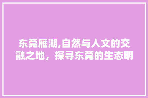 东莞雁湖,自然与人文的交融之地，探寻东莞的生态明珠