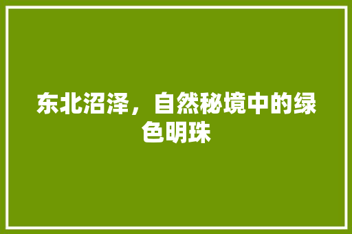 东北沼泽，自然秘境中的绿色明珠