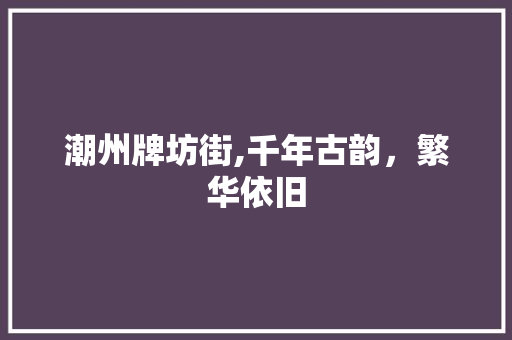 潮州牌坊街,千年古韵，繁华依旧