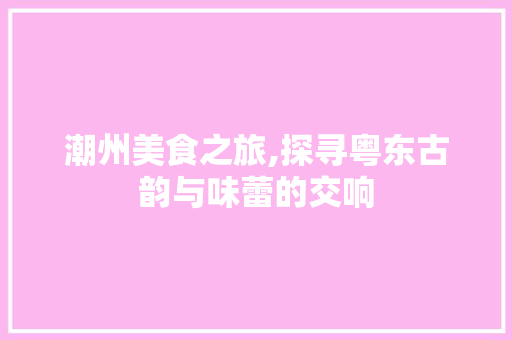 潮州美食之旅,探寻粤东古韵与味蕾的交响