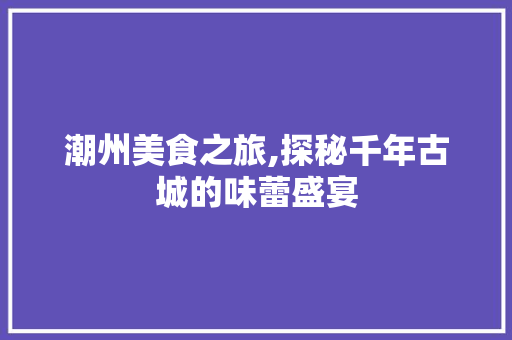 潮州美食之旅,探秘千年古城的味蕾盛宴