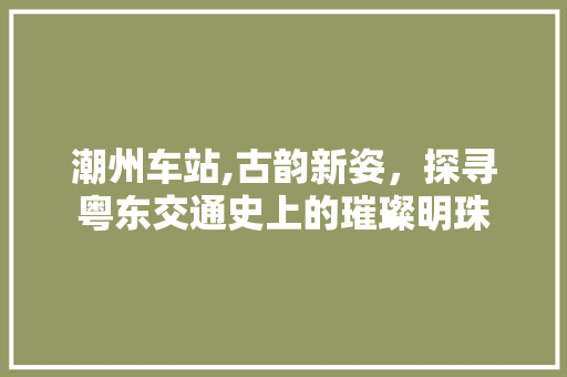 潮州车站,古韵新姿，探寻粤东交通史上的璀璨明珠