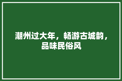 潮州过大年，畅游古城韵，品味民俗风  第1张