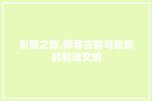 东营之旅,探寻古韵与自然的和谐交响  第1张