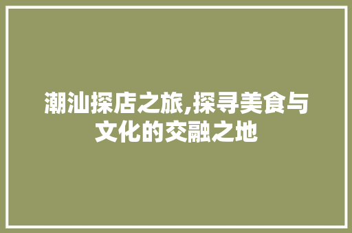 潮汕探店之旅,探寻美食与文化的交融之地