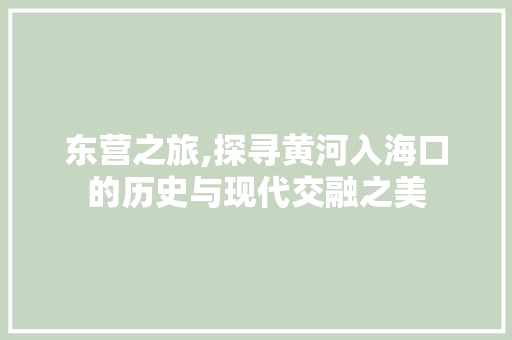 东营之旅,探寻黄河入海口的历史与现代交融之美