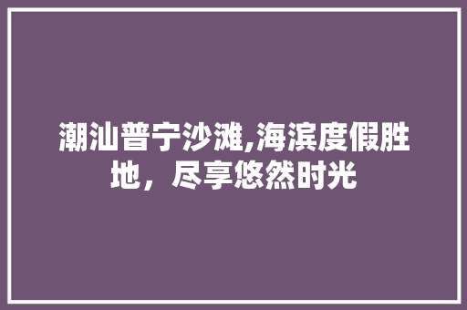 潮汕普宁沙滩,海滨度假胜地，尽享悠然时光