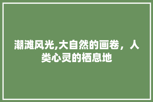 潮滩风光,大自然的画卷，人类心灵的栖息地