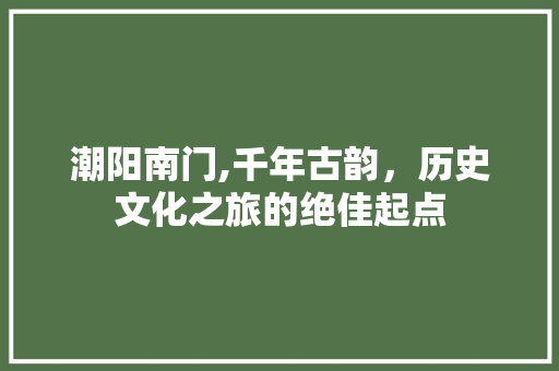 潮阳南门,千年古韵，历史文化之旅的绝佳起点