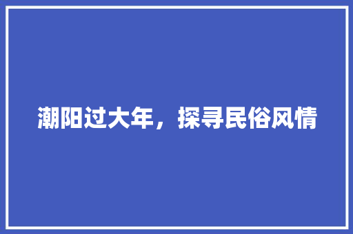 潮阳过大年，探寻民俗风情