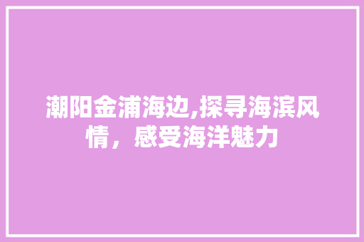 潮阳金浦海边,探寻海滨风情，感受海洋魅力