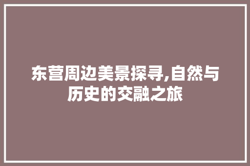 东营周边美景探寻,自然与历史的交融之旅  第1张