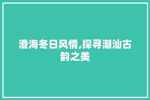 澄海冬日风情,探寻潮汕古韵之美