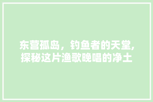 东营孤岛，钓鱼者的天堂,探秘这片渔歌晚唱的净土