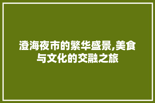 澄海夜市的繁华盛景,美食与文化的交融之旅