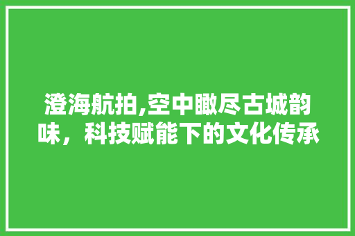 澄海航拍,空中瞰尽古城韵味，科技赋能下的文化传承之旅