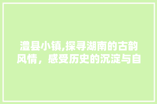 澧县小镇,探寻湖南的古韵风情，感受历史的沉淀与自然的和谐