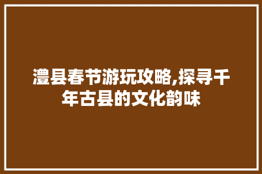 澧县春节游玩攻略,探寻千年古县的文化韵味