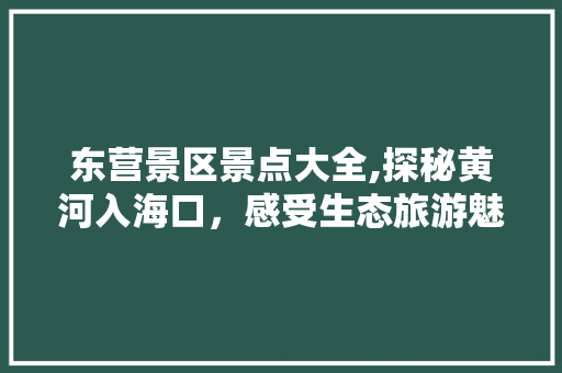 东营景区景点大全,探秘黄河入海口，感受生态旅游魅力