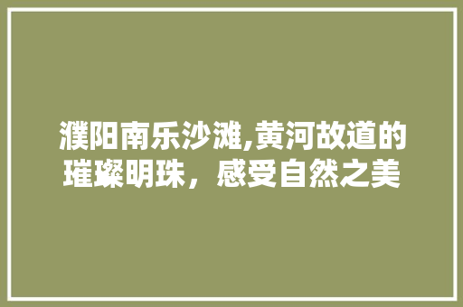 濮阳南乐沙滩,黄河故道的璀璨明珠，感受自然之美