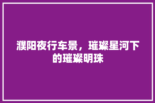 濮阳夜行车景，璀璨星河下的璀璨明珠