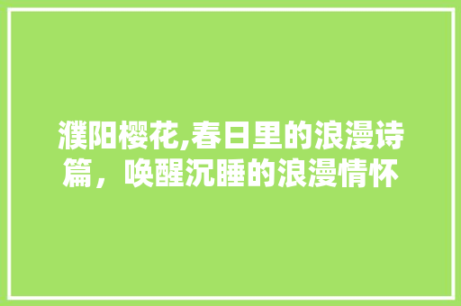 濮阳樱花,春日里的浪漫诗篇，唤醒沉睡的浪漫情怀