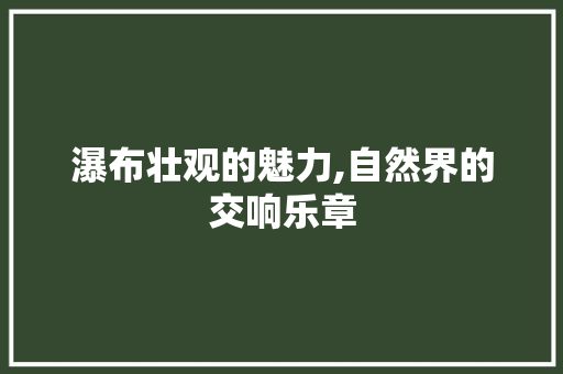 瀑布壮观的魅力,自然界的交响乐章