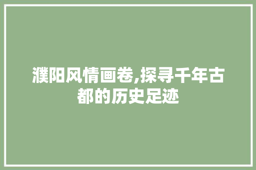 濮阳风情画卷,探寻千年古都的历史足迹