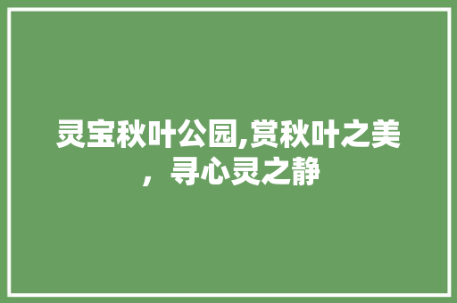 灵宝秋叶公园,赏秋叶之美，寻心灵之静