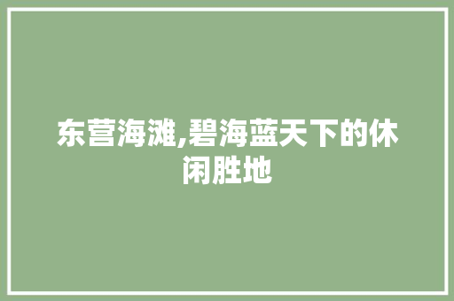 东营海滩,碧海蓝天下的休闲胜地  第1张