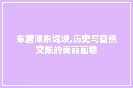 东营湖东堤坝,历史与自然交融的美丽画卷