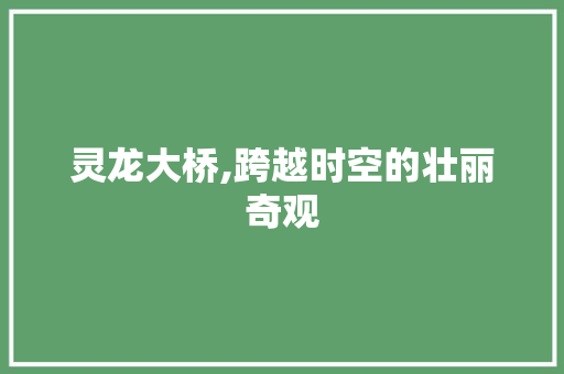 灵龙大桥,跨越时空的壮丽奇观