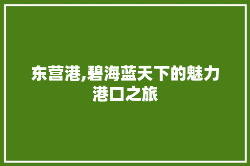 东营港,碧海蓝天下的魅力港口之旅