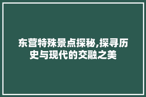 东营特殊景点探秘,探寻历史与现代的交融之美  第1张