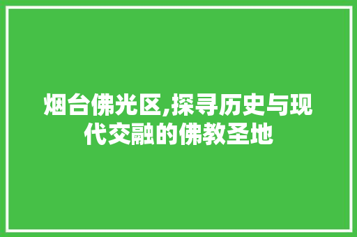 烟台佛光区,探寻历史与现代交融的佛教圣地