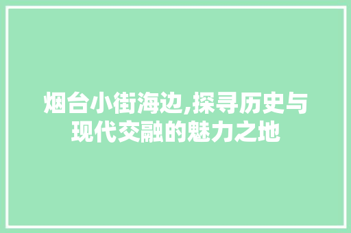 烟台小街海边,探寻历史与现代交融的魅力之地