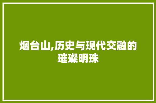 烟台山,历史与现代交融的璀璨明珠