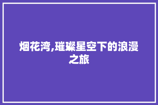 烟花湾,璀璨星空下的浪漫之旅