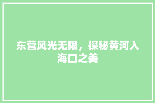 东营风光无限，探秘黄河入海口之美