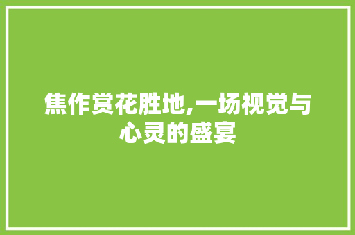 焦作赏花胜地,一场视觉与心灵的盛宴