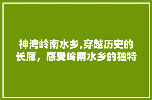 神湾岭南水乡,穿越历史的长廊，感受岭南水乡的独特魅力