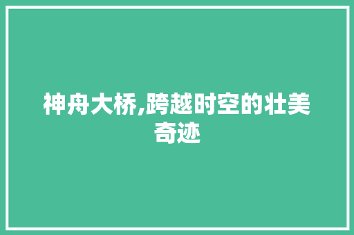 神舟大桥,跨越时空的壮美奇迹  第1张