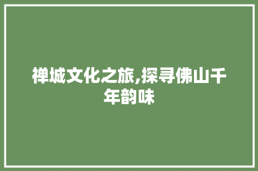 禅城文化之旅,探寻佛山千年韵味