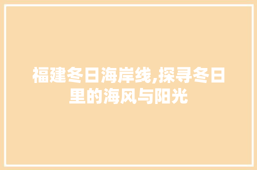 福建冬日海岸线,探寻冬日里的海风与阳光